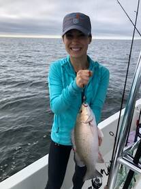 Bay Pines Report Photo 1