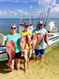 Ocean Springs Report Photo 2