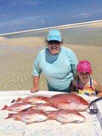 Ocean Springs Report Photo 1