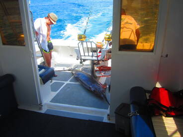 Le Morne Report Photo 2