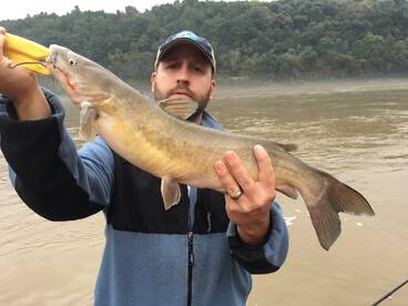 Harding Report Photo 1