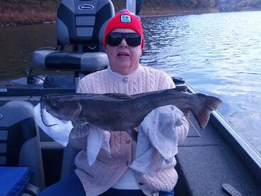 Harding Report Photo 2