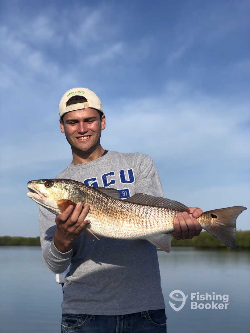 Captiva Report Photo 0