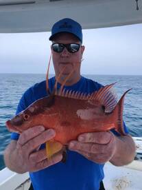 Clearwater Report Photo 1