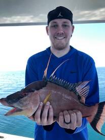 Clearwater Report Photo 1