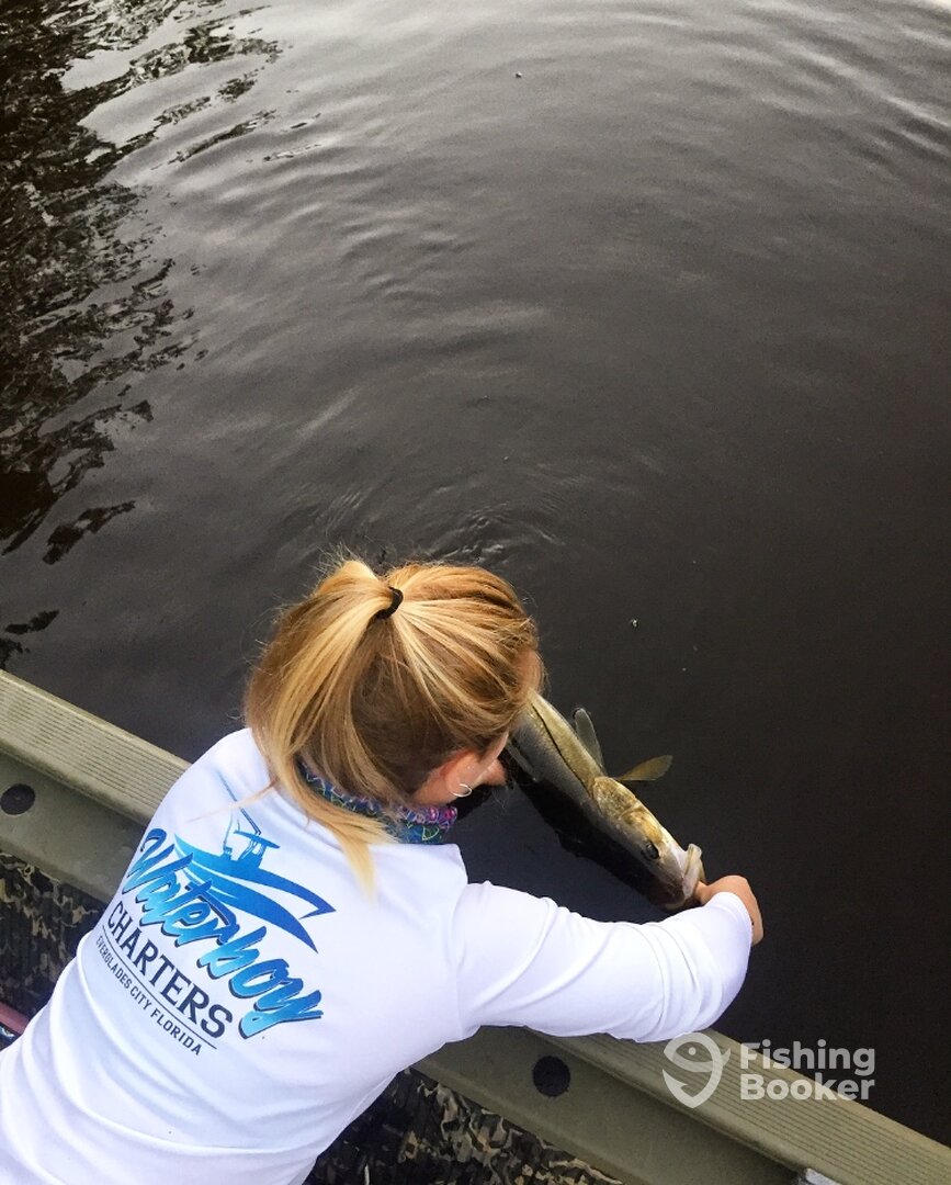 Everglades City Report Photo 0