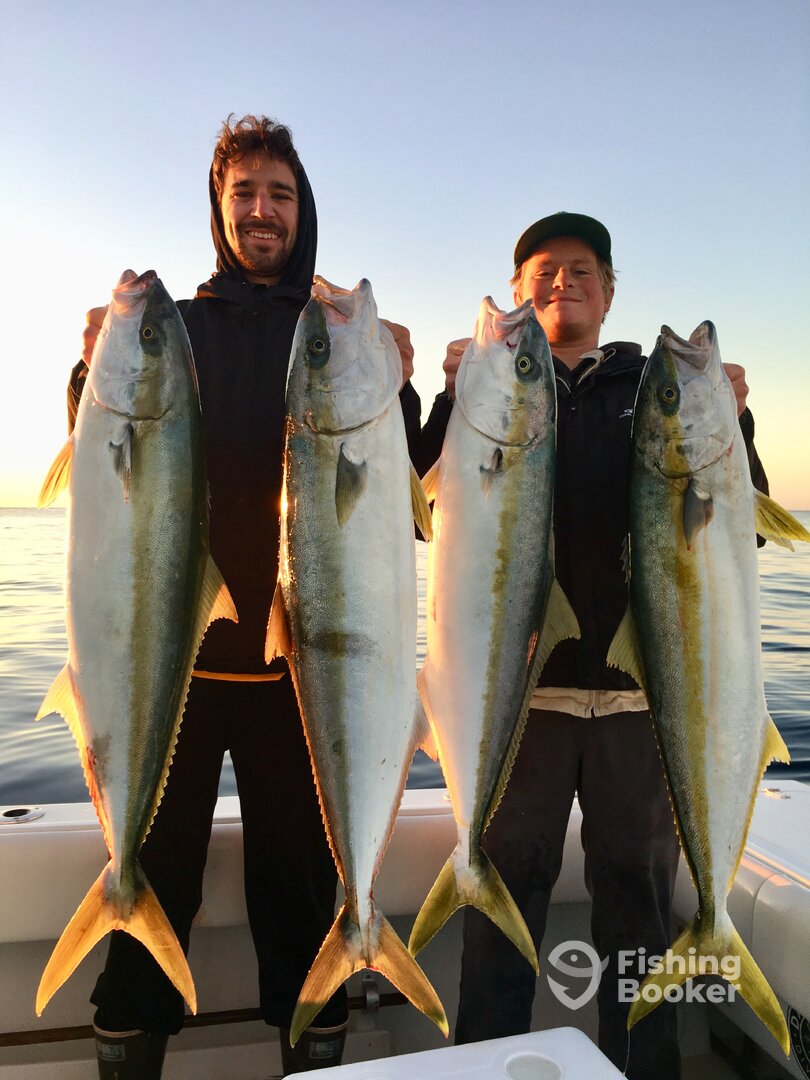 Dana Point Report Photo 0