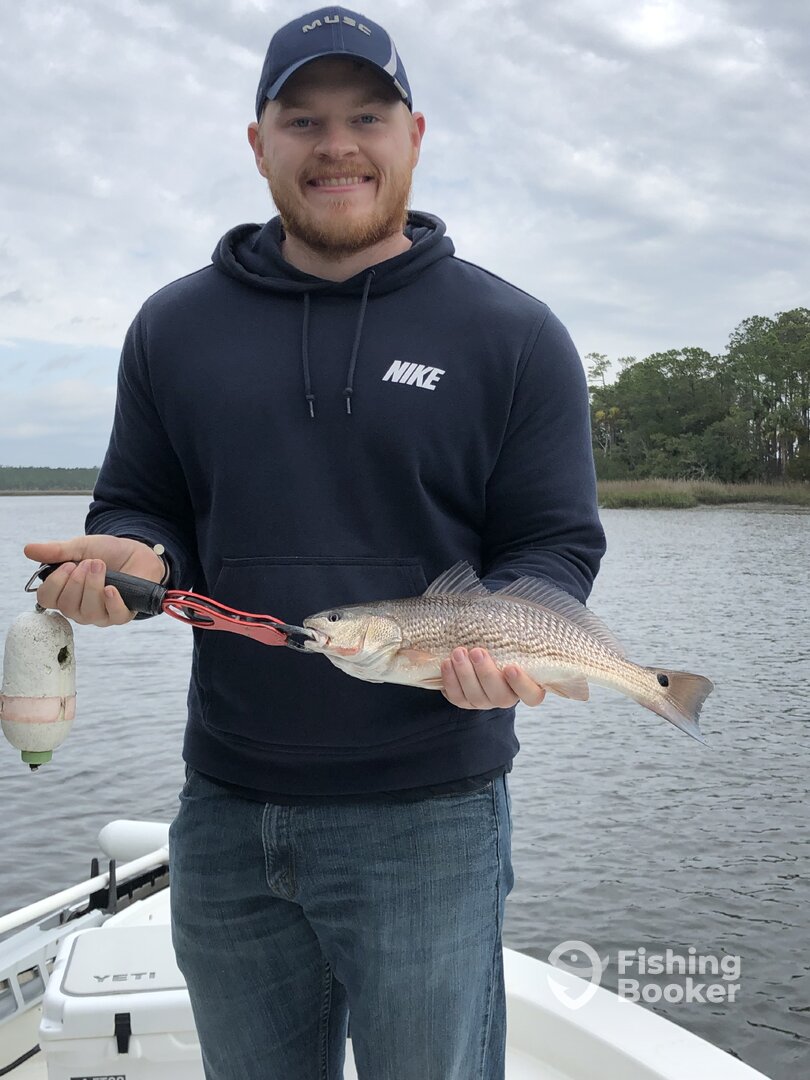 Mount Pleasant Report Photo 0