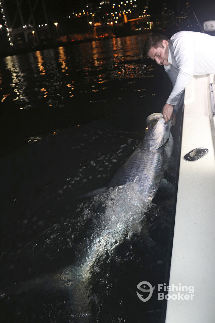 Miami Report Photo 0