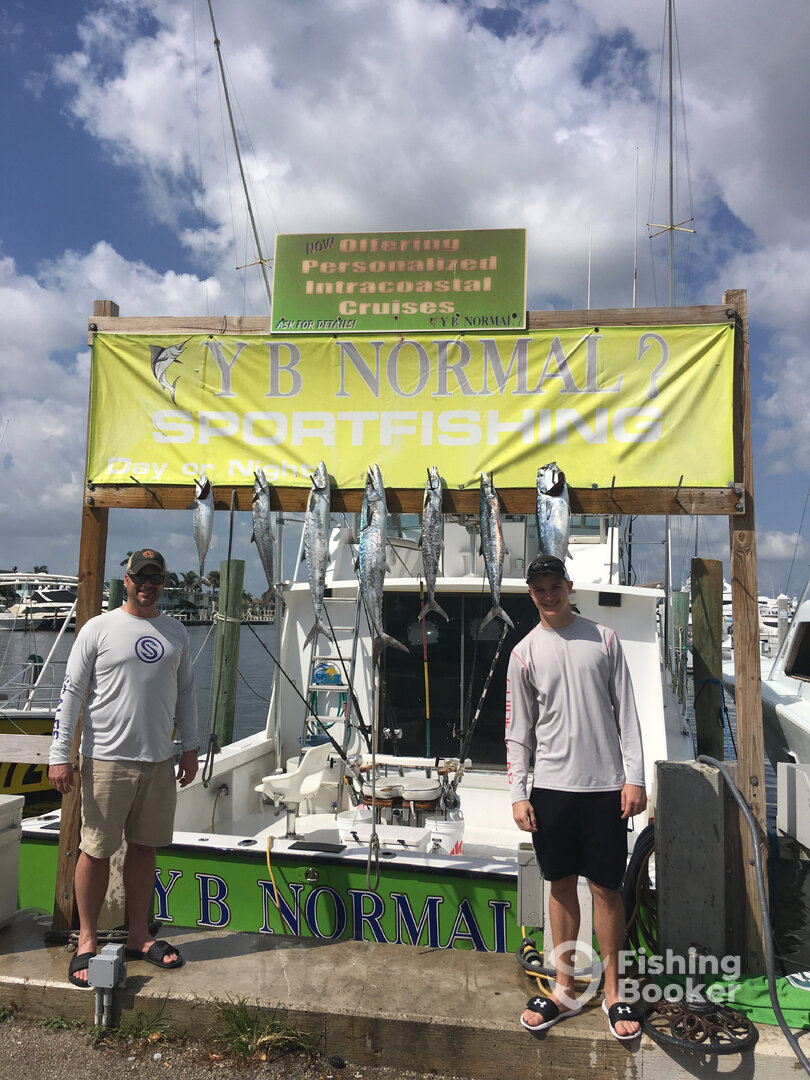 Dania Beach Report Photo 0