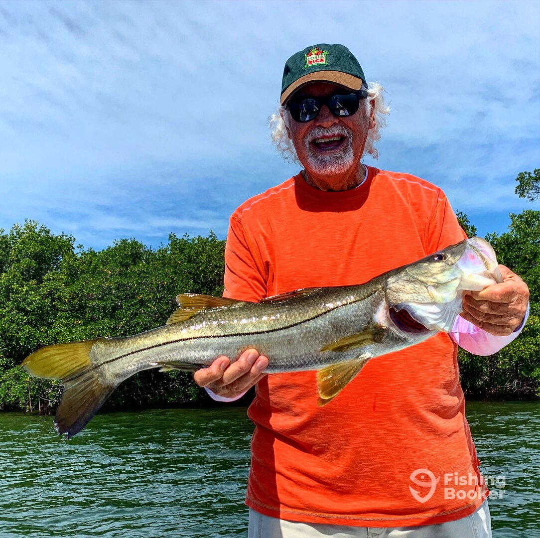 Captiva Report Photo 0