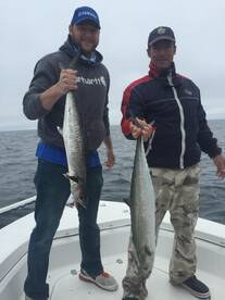 Pensacola Report Photo 1