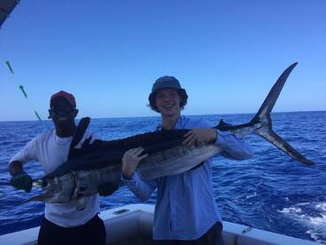 Marlin Fever this week 8 white marlins 