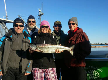 Comox Report Photo 2