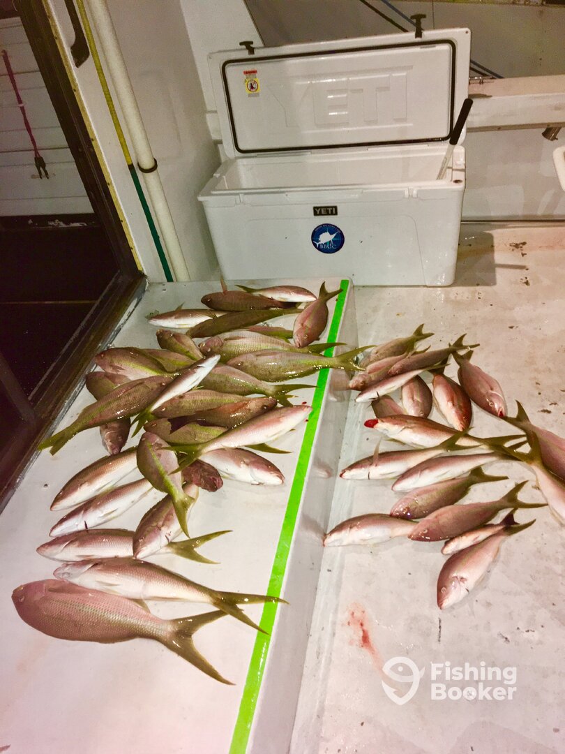 Dania Beach Report Photo 0