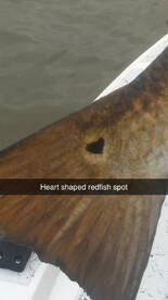 Foto Report Port O'Connor 1