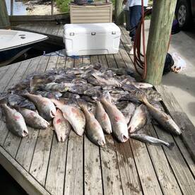 St. Bernard Report Photo 2