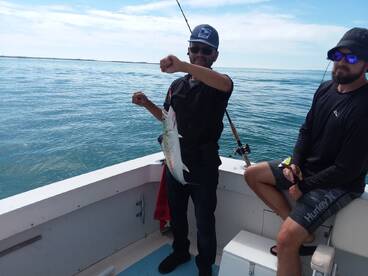 Redington Shores Report Photo 2