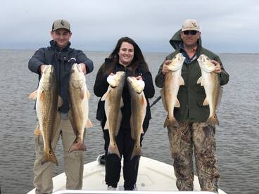 BULL REDS SCHOOLING!