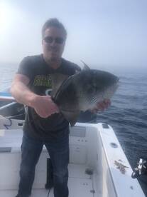 Orange Beach Report Photo 1