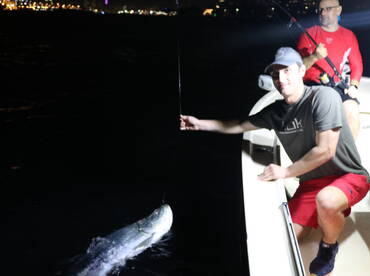 Miami Tarpon Fishing 