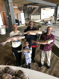 Venice Report Photo 2