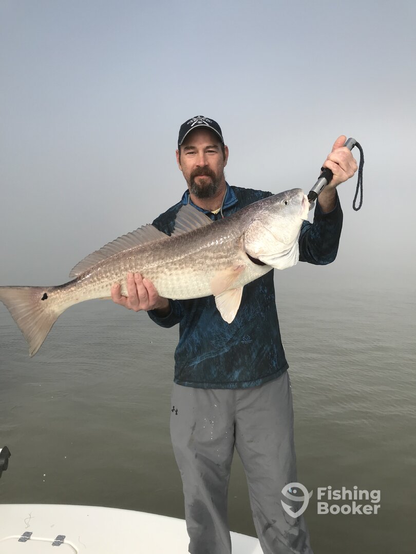 Venice Report Photo 0