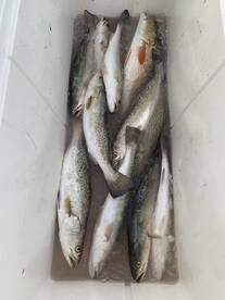 Port O'Connor Report Photo 2