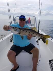 Tampa bay heating up !