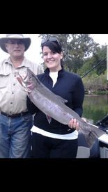 Sacramento River Report Photo 1