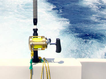 Dushanbe Report Photo 2