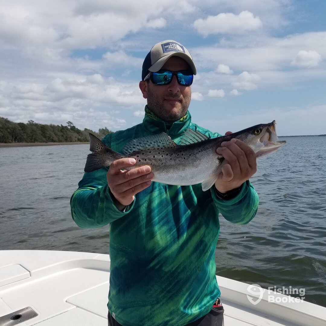 Mount Pleasant Report Photo 0