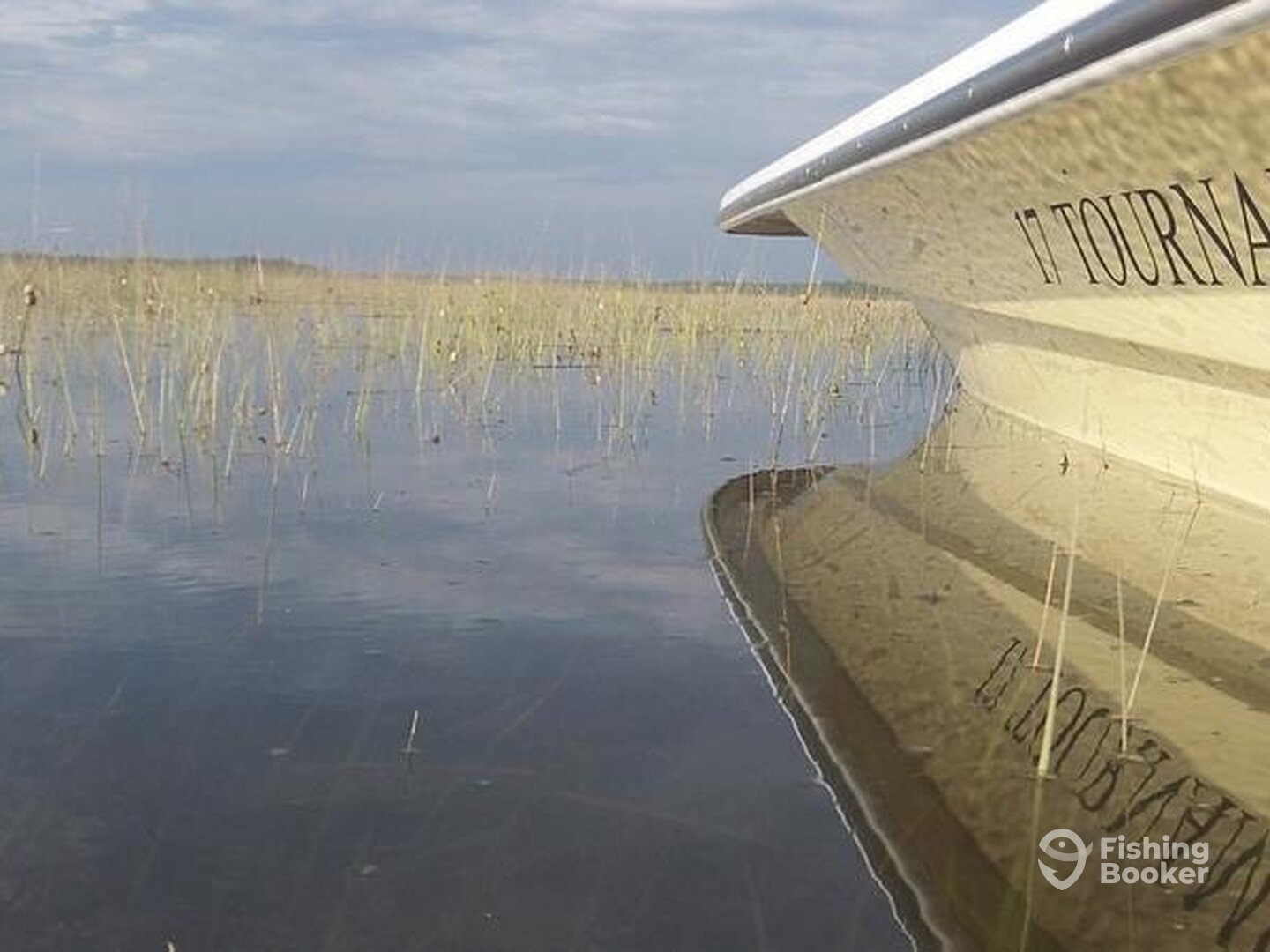 Mount Pleasant Report Photo 0