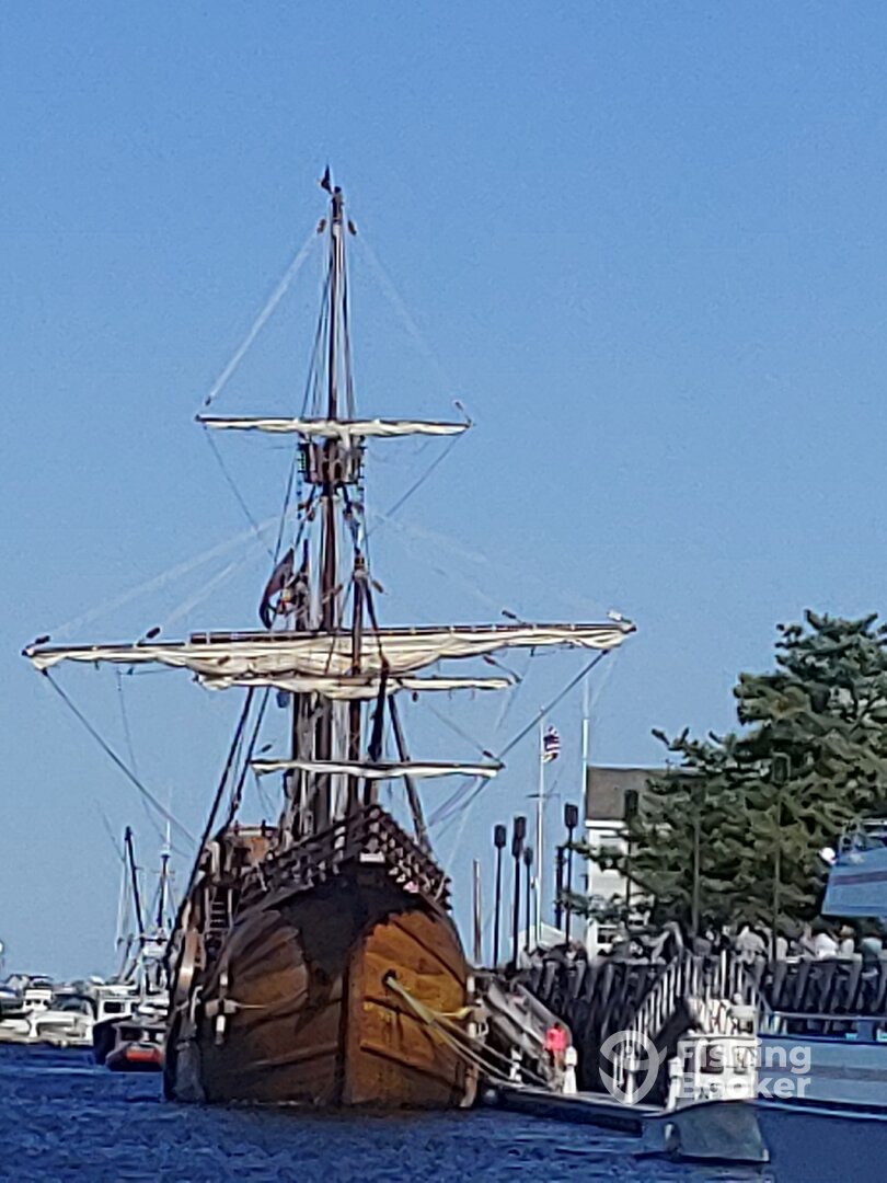 Newburyport Report Photo 0