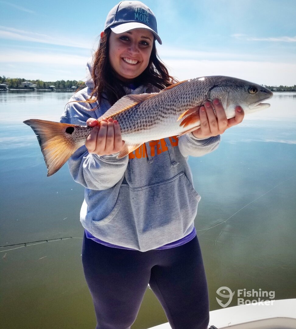 Mount Pleasant Report Photo 0