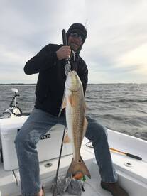 Orange Beach Report Photo 2