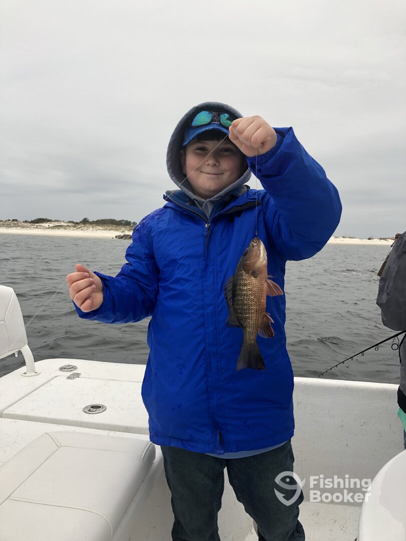 Orange Beach Report Photo 0