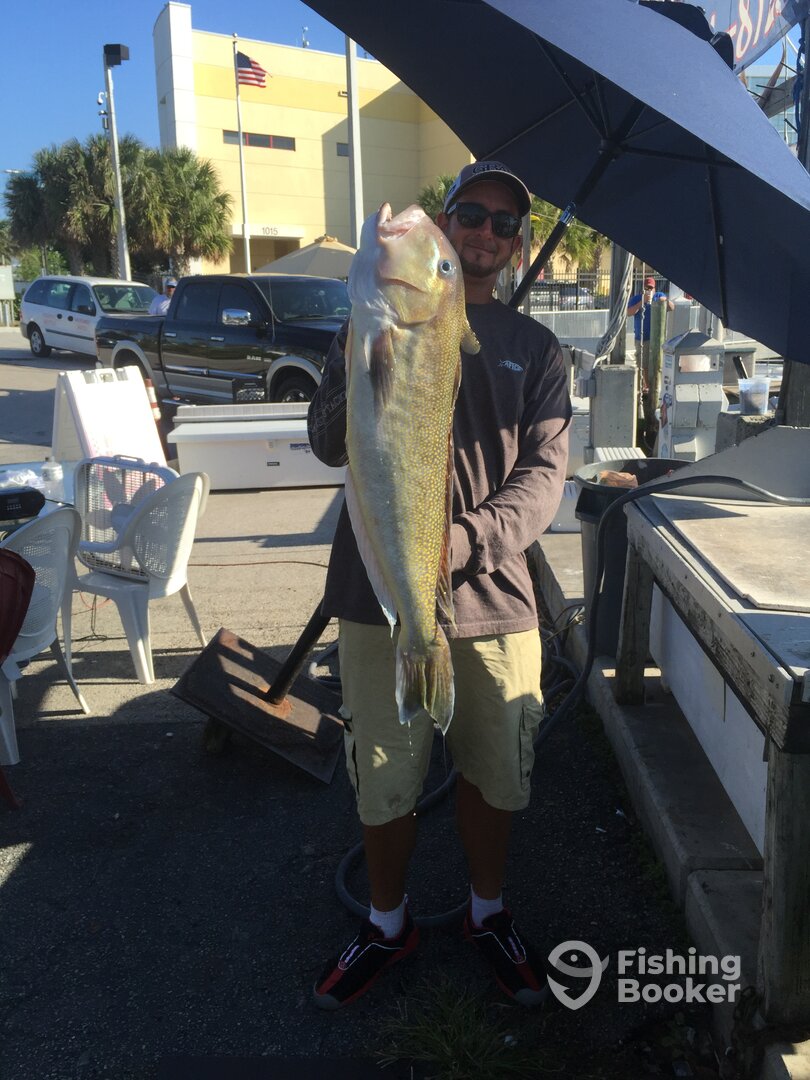 Dania Beach Report Photo 0