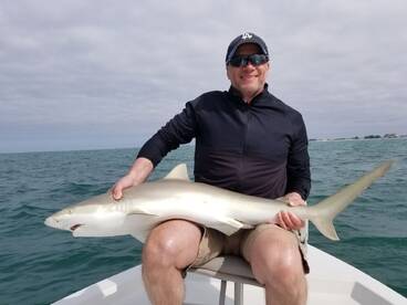 Bay Pines Report Photo 2