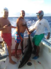 Big Yellowfin on light tackle