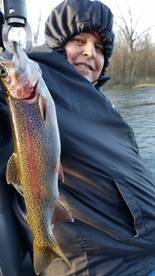 Taneycomo Lake Rainbow Trout 
