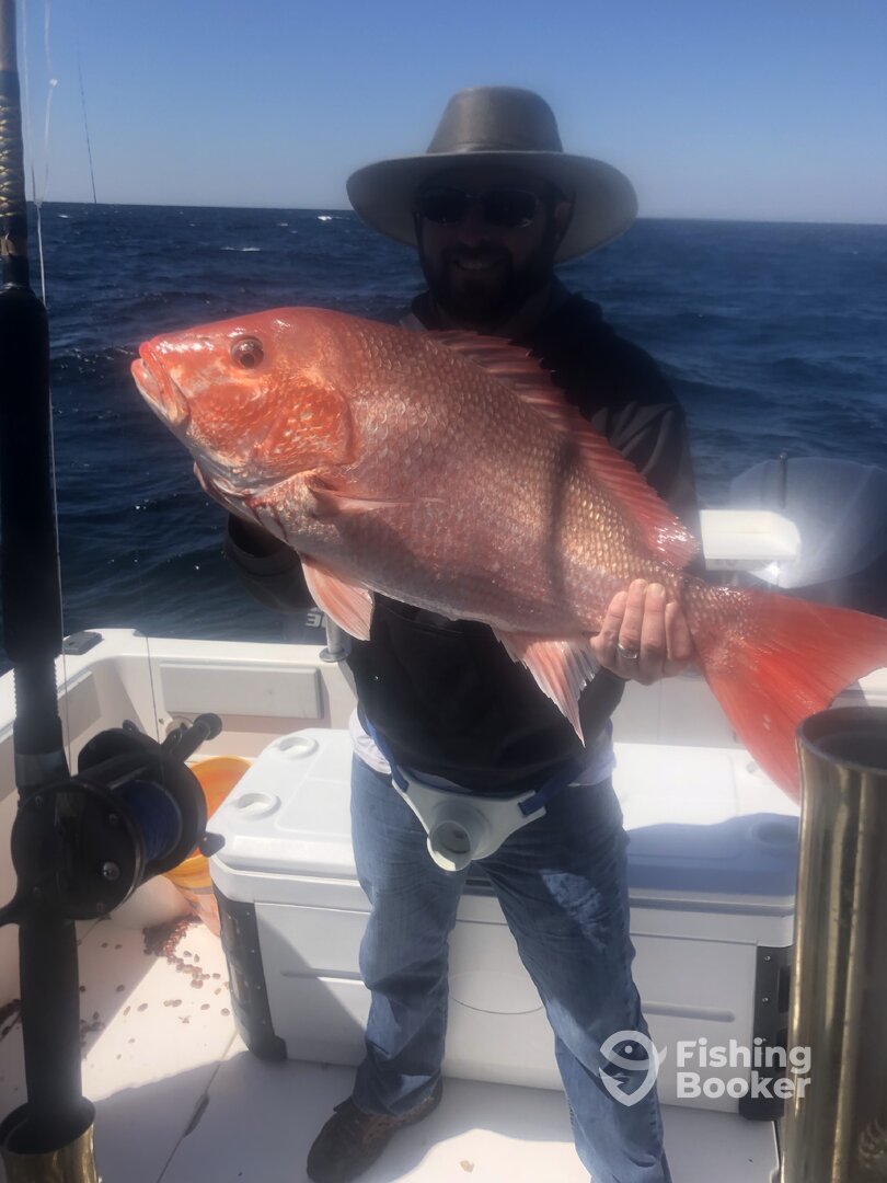 Orange Beach Report Photo 0