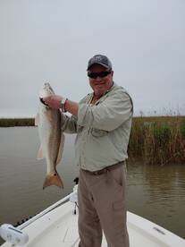 St. Bernard Report Photo 1