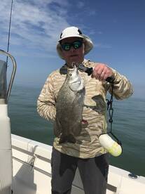 Marco Island Report Photo 1