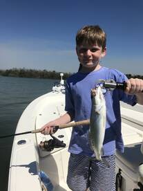 Marco Island Report Photo 2