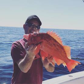 Beautiful red snapper