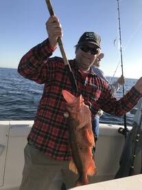 San Diego Report Photo 2