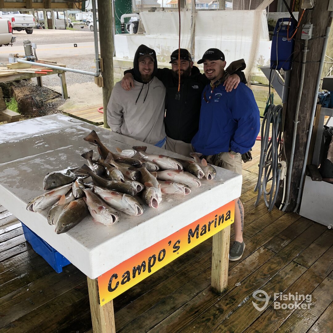 St. Bernard Report Photo 0