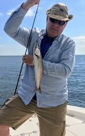 Trout, Trout and more Trout