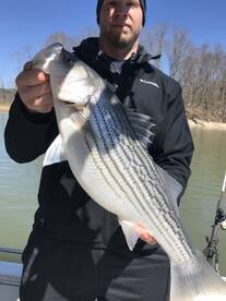 Striper are starting to bite good.